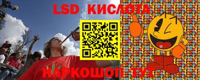 мяу мяу мука Славгород