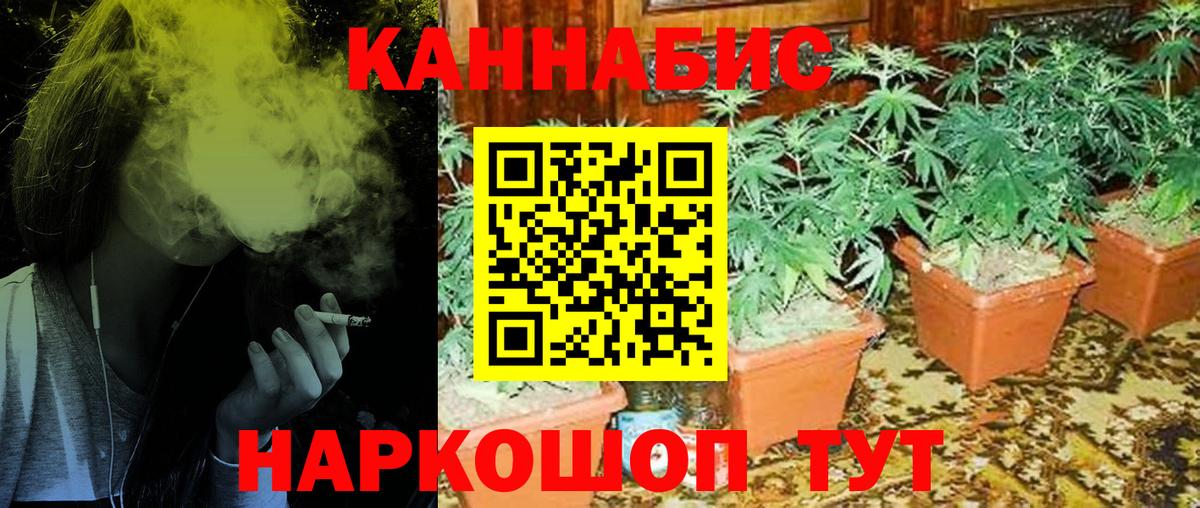 Бошки Шишки THC 21% Ногинск